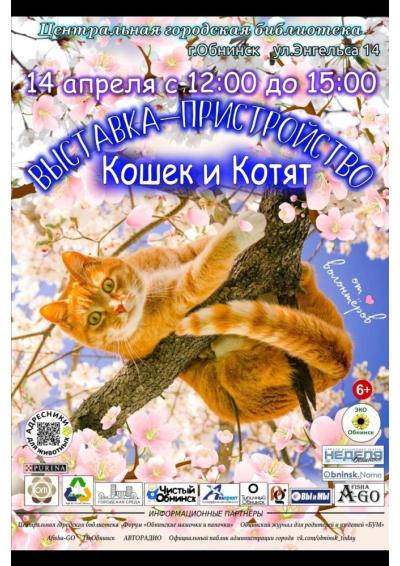 Afisha-go. Афиша мероприятий: Выставка-пристройство кошек и котят